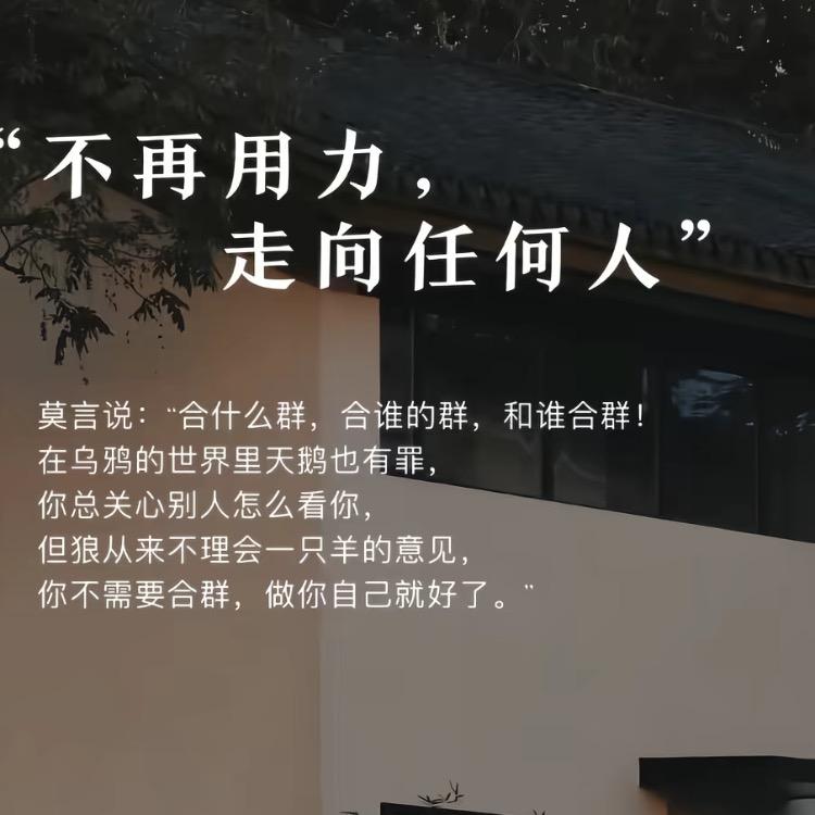 凯瑞鸽舍～金鑫瑞钰