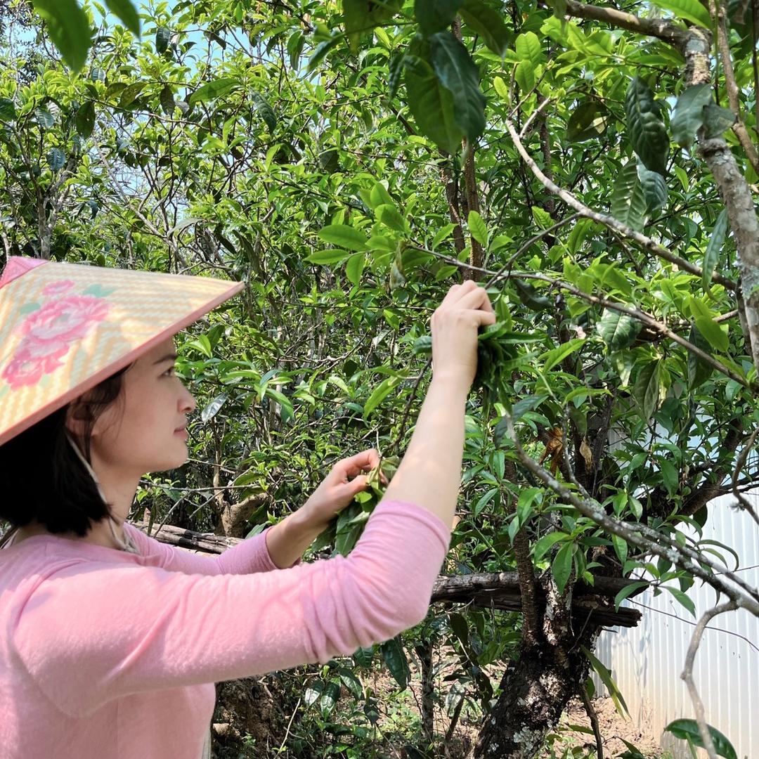 小杨茶空间