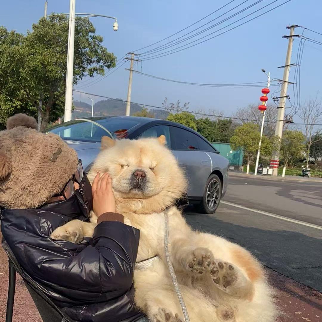 上山打老虎