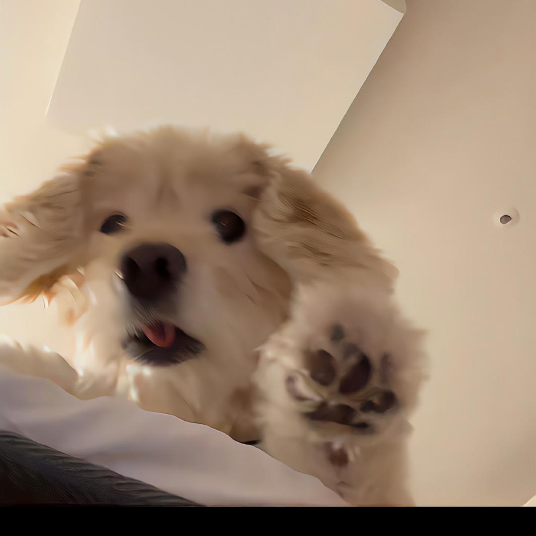 我叫鸡瓜