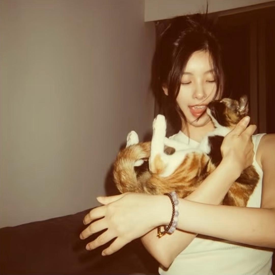 小小洋`
