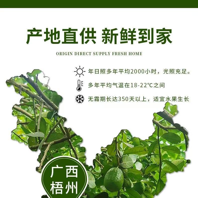 鲜果农人