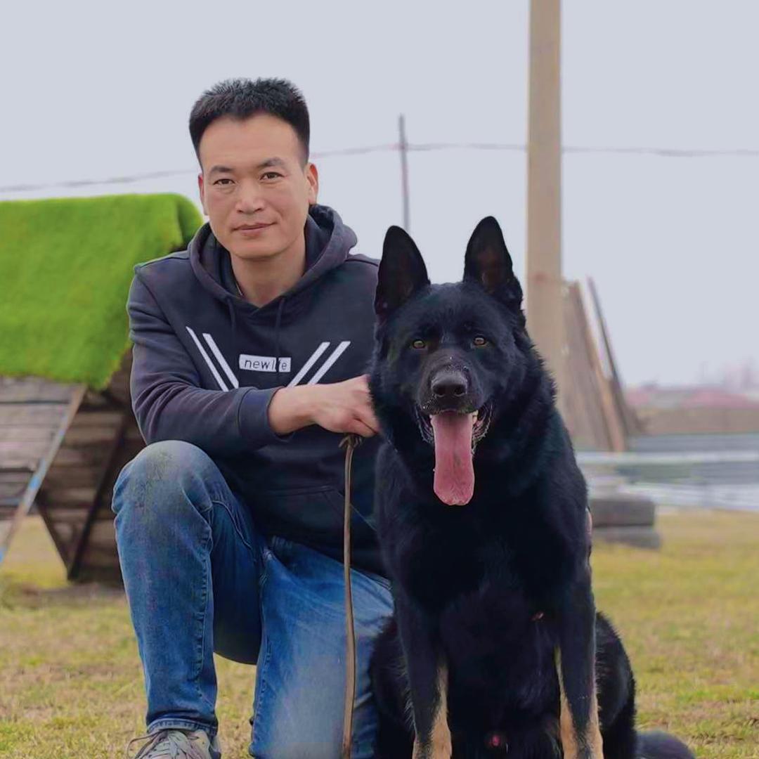河北九鼎犬业