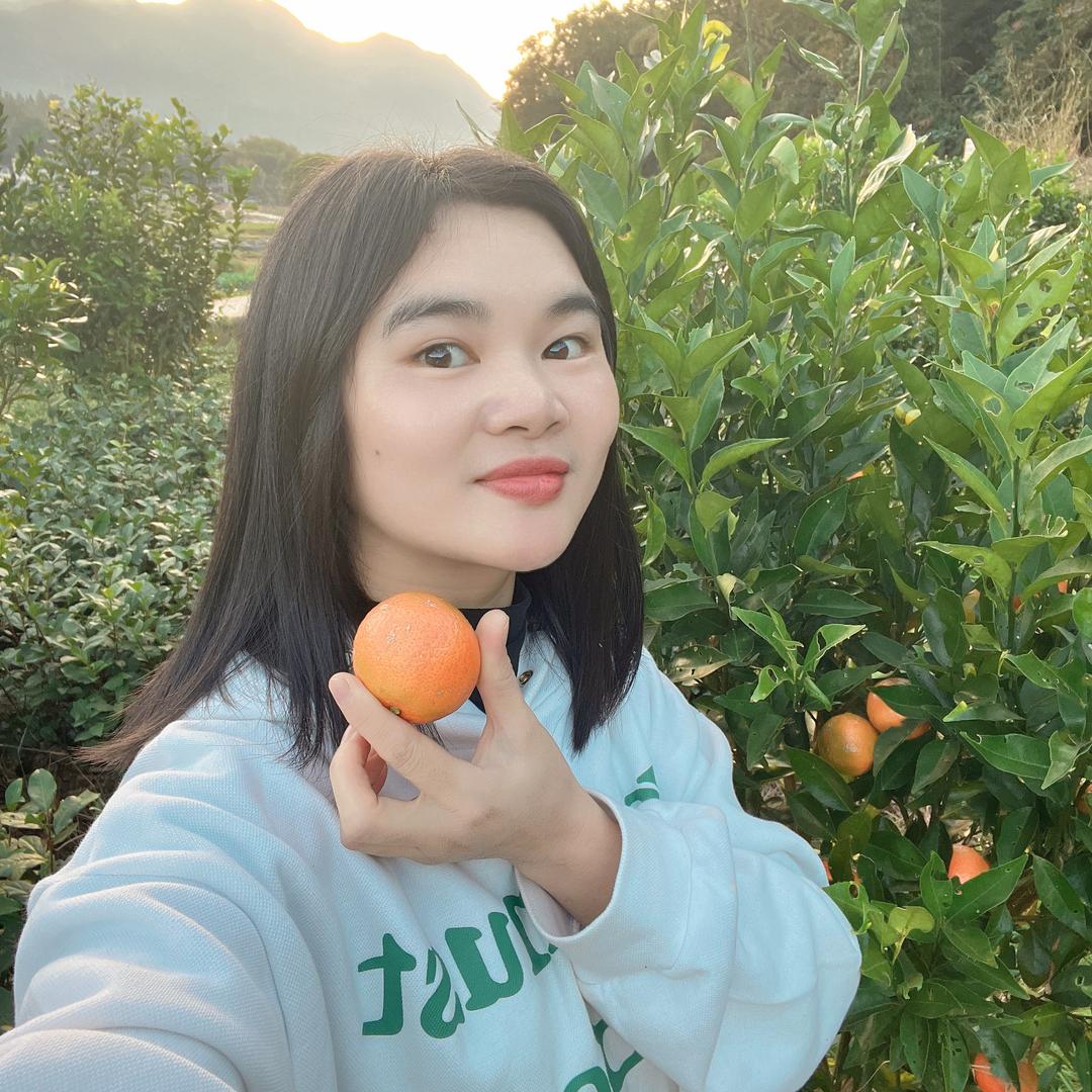 听风的声音