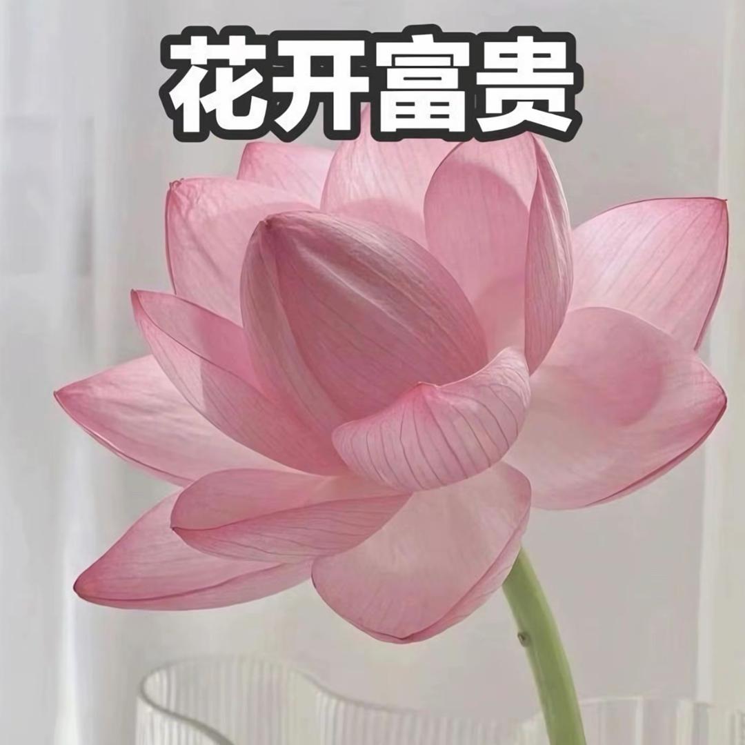 榛果小园严选3号店