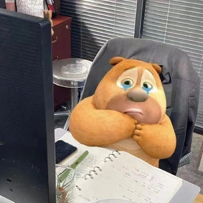 安安(˵¯͒〰¯͒˵)