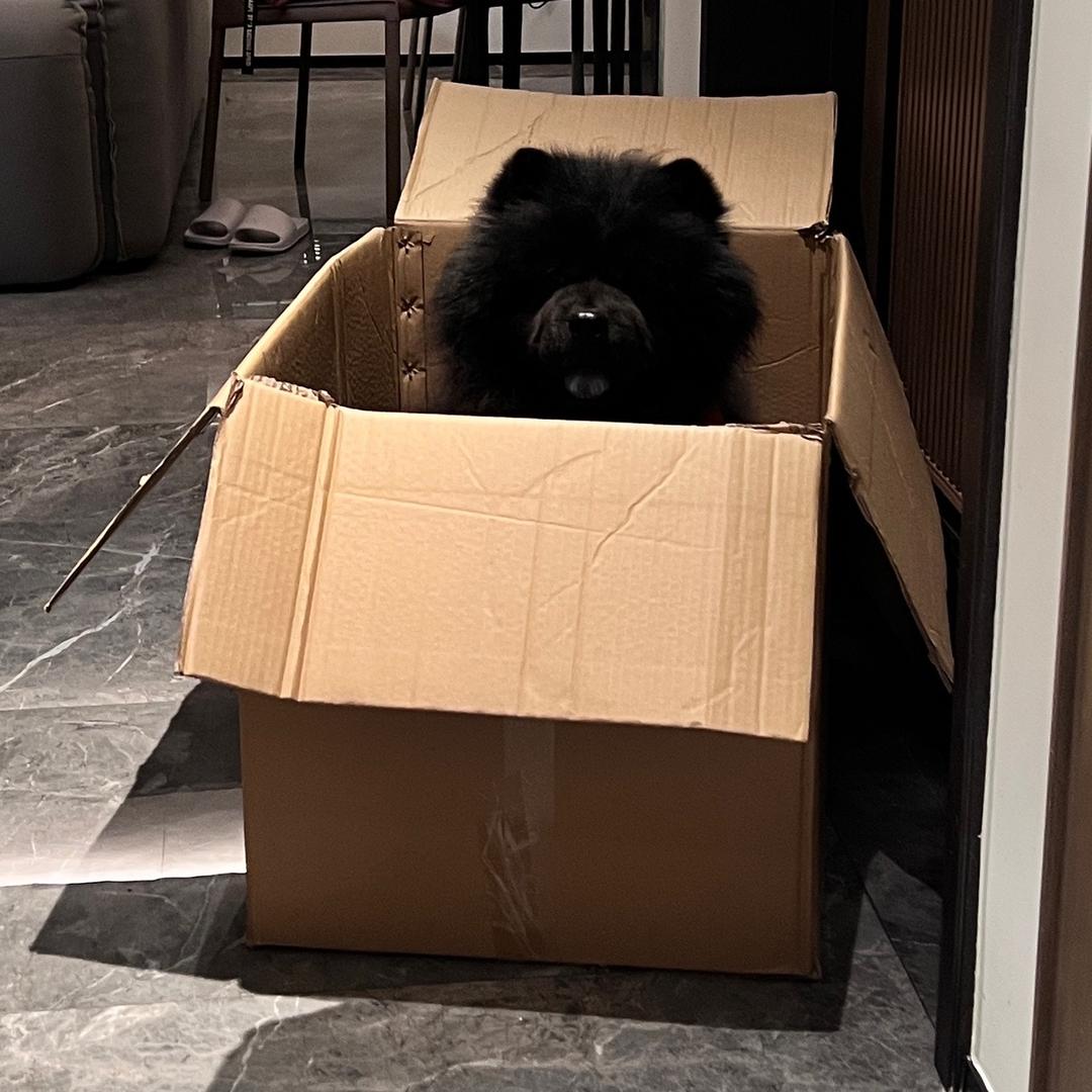 米奇臭臭屋