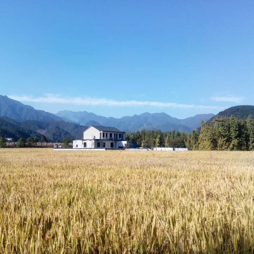 觅心田源生鲜旗舰店