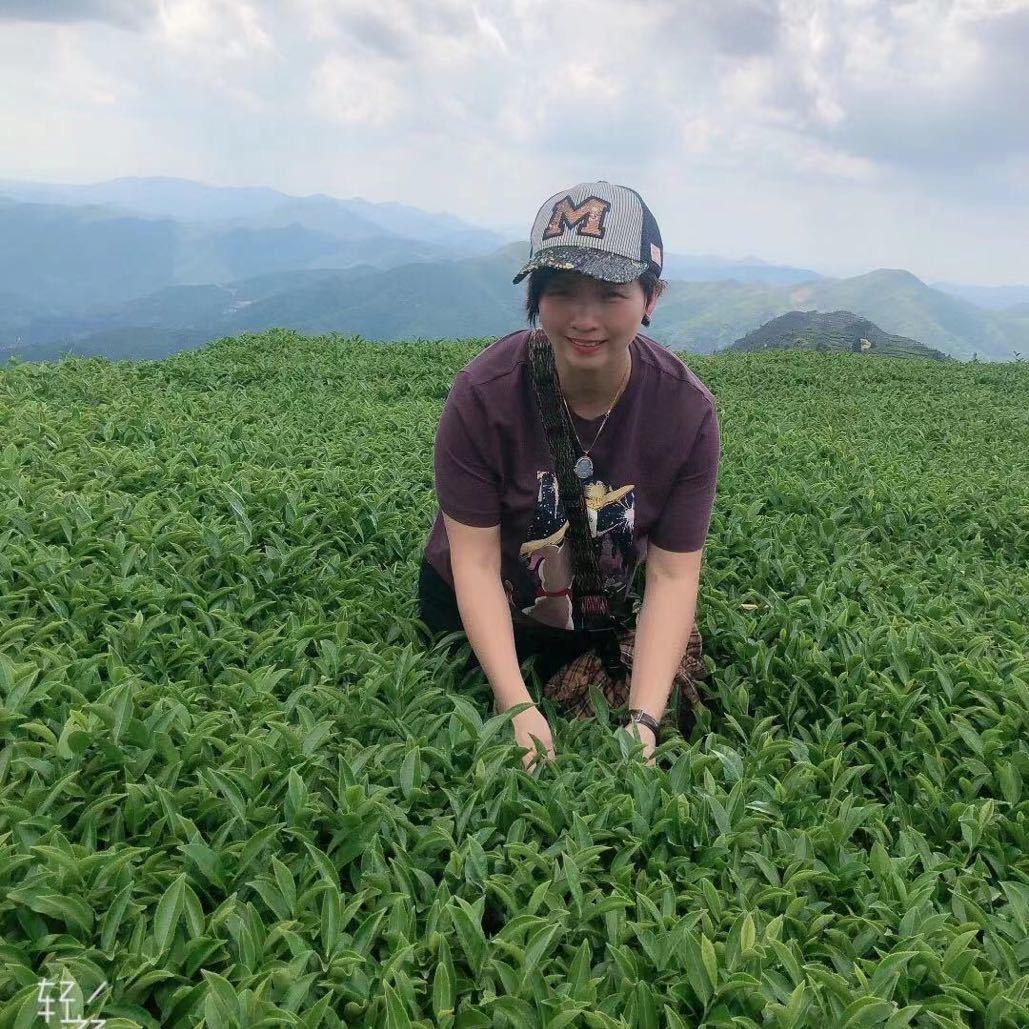 德林茶业