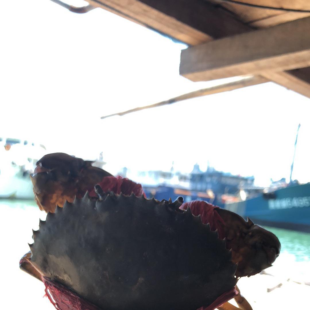 亚甲生鲜