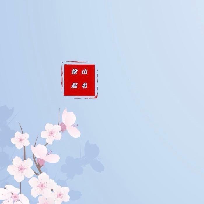 徐山起名