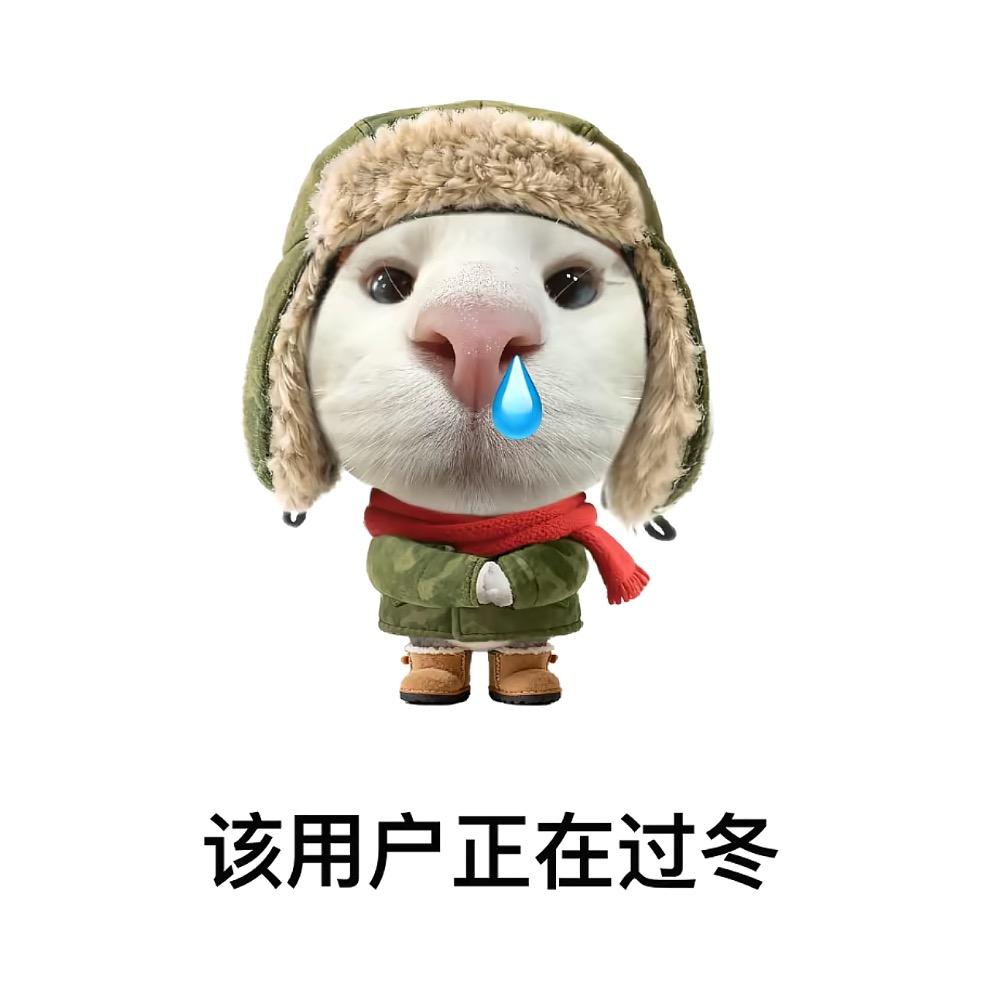 爱吃烤冷面