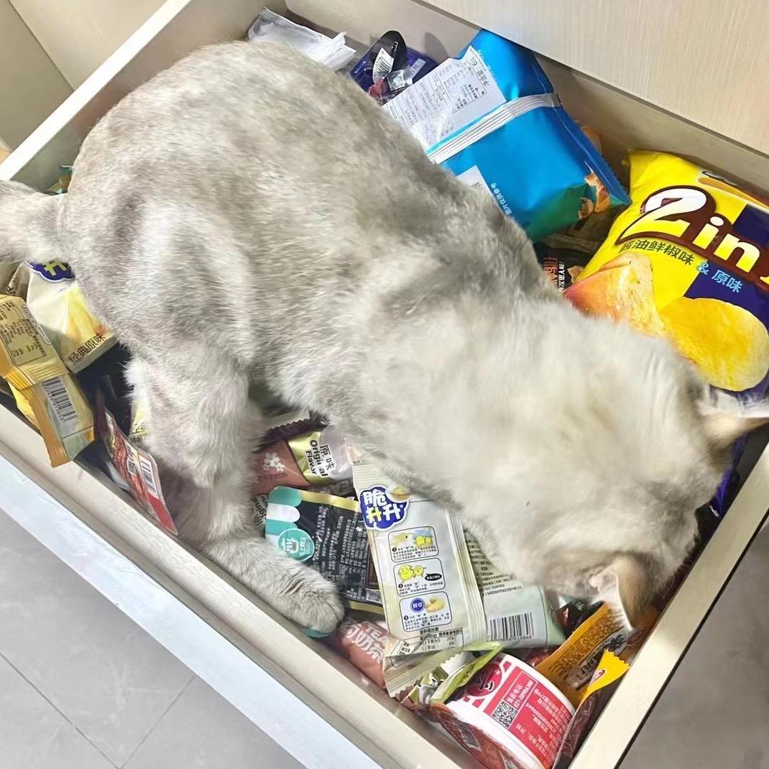 来福福家