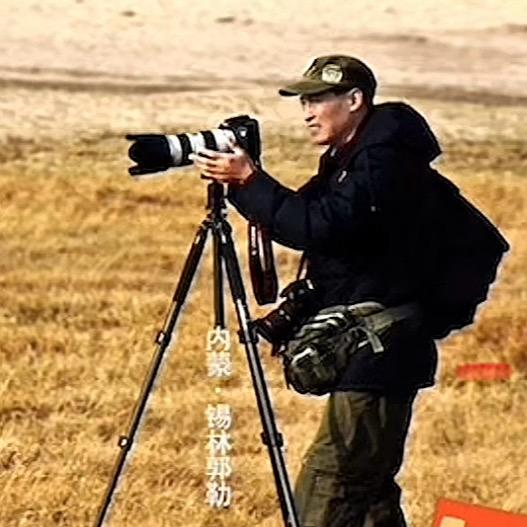 安徽峤尔英文化传播有限公司