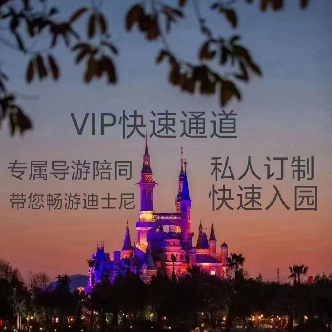 迪士尼VIP游玩