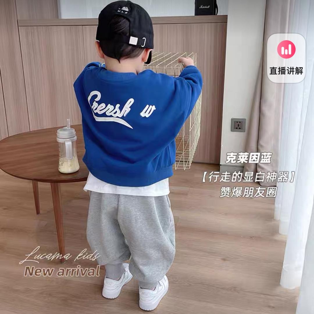 珊黎积木旗舰店
