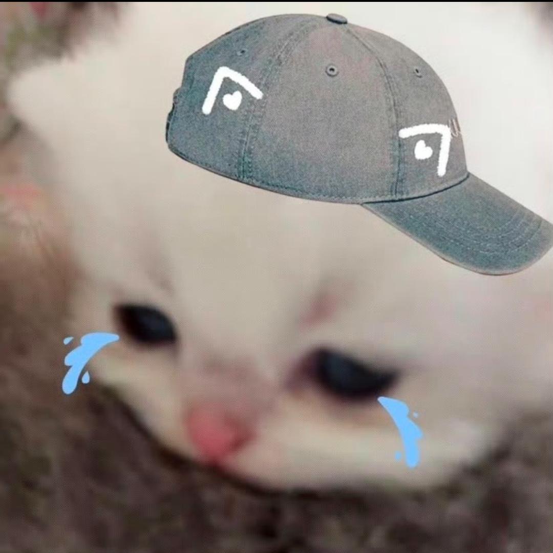 我没招了