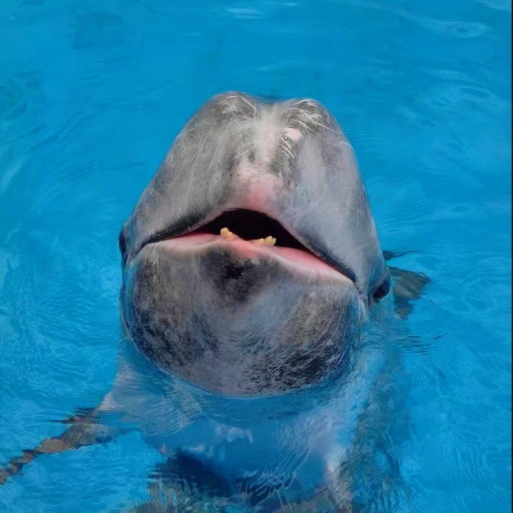 🐬丢丢的朋友圈