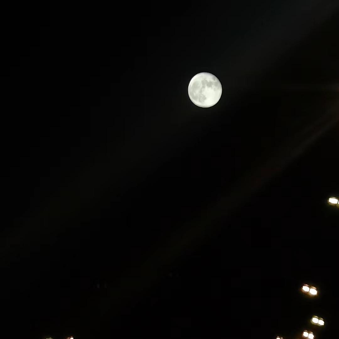 酒泉天上月冻品食材