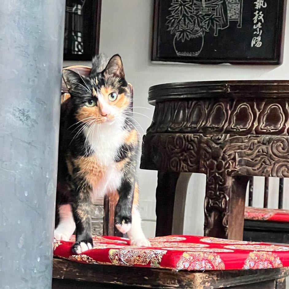 梦落