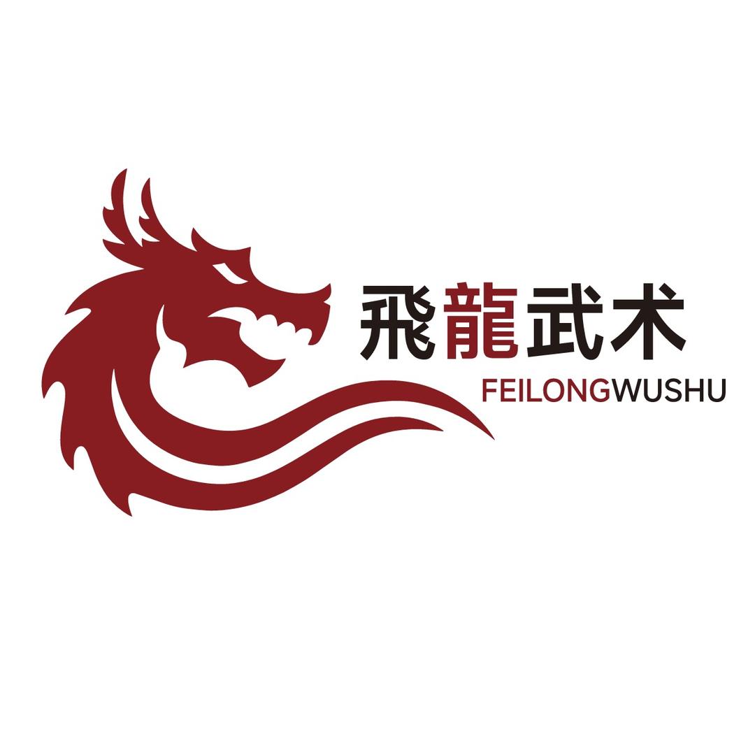 飛龍武术官方号