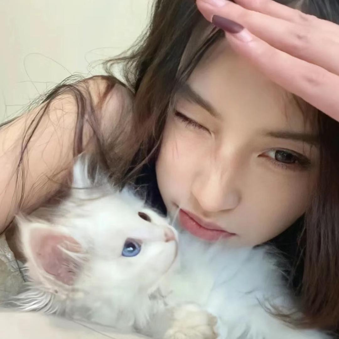 糕冷小美