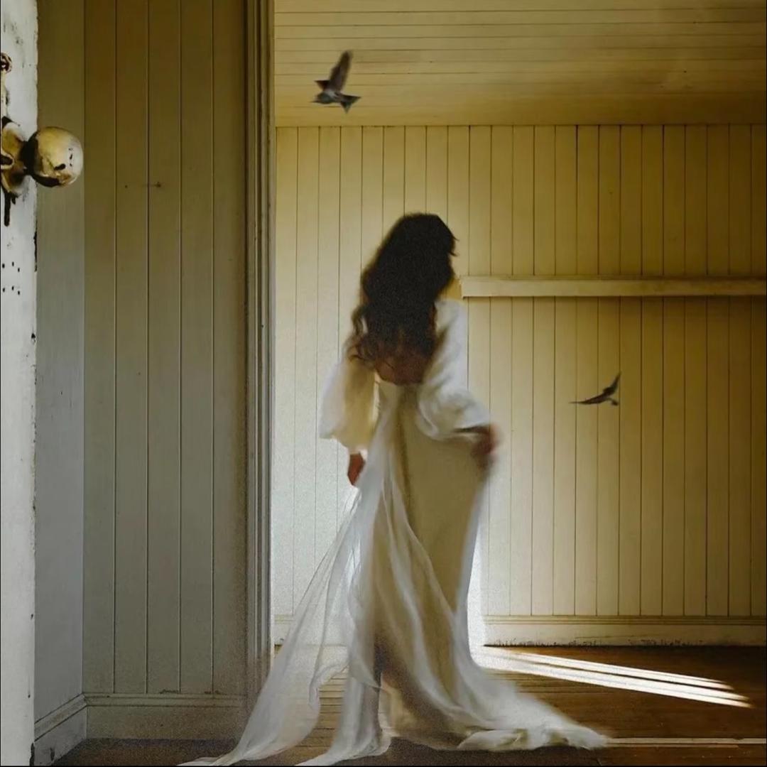 🦋_411