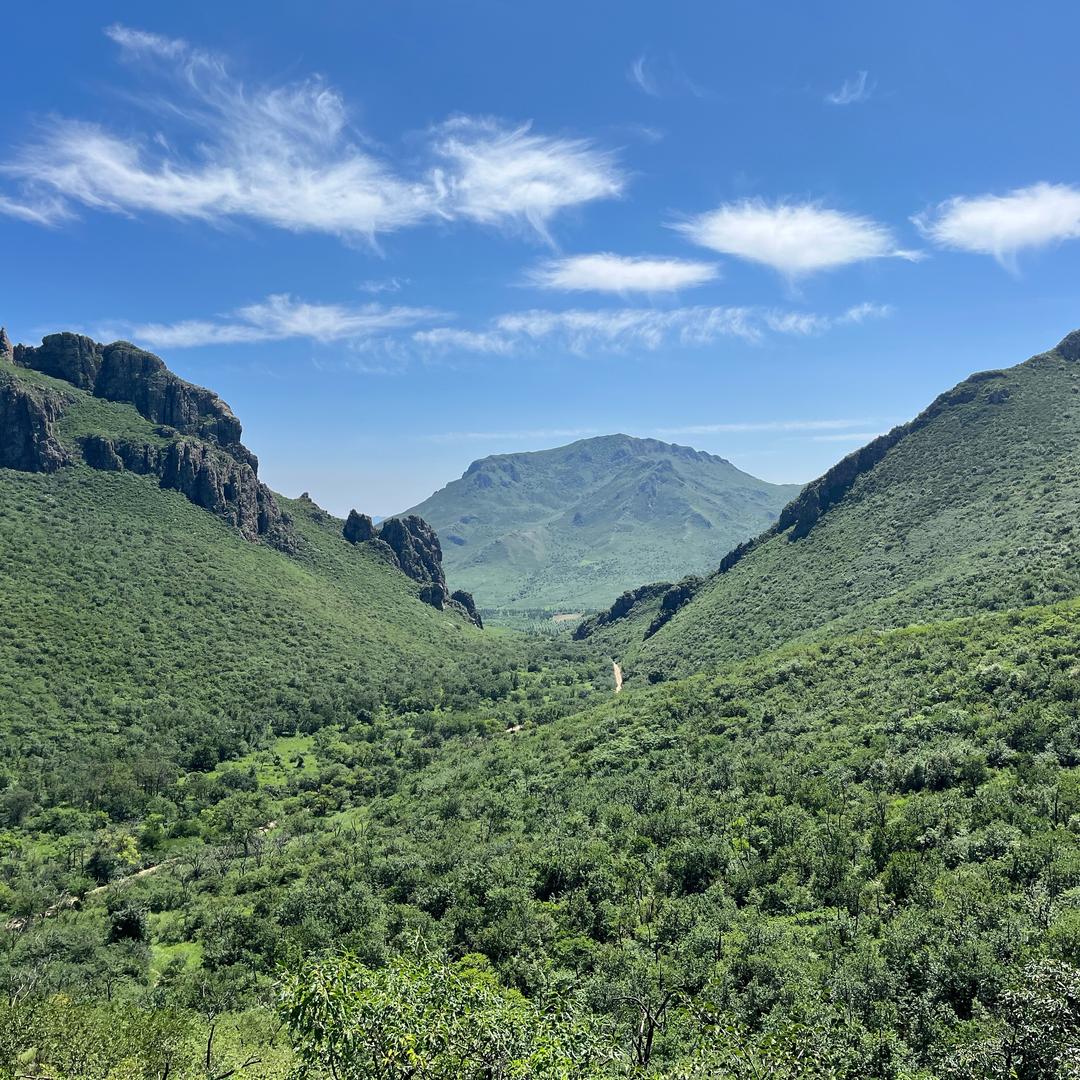大大大大耳朵👂