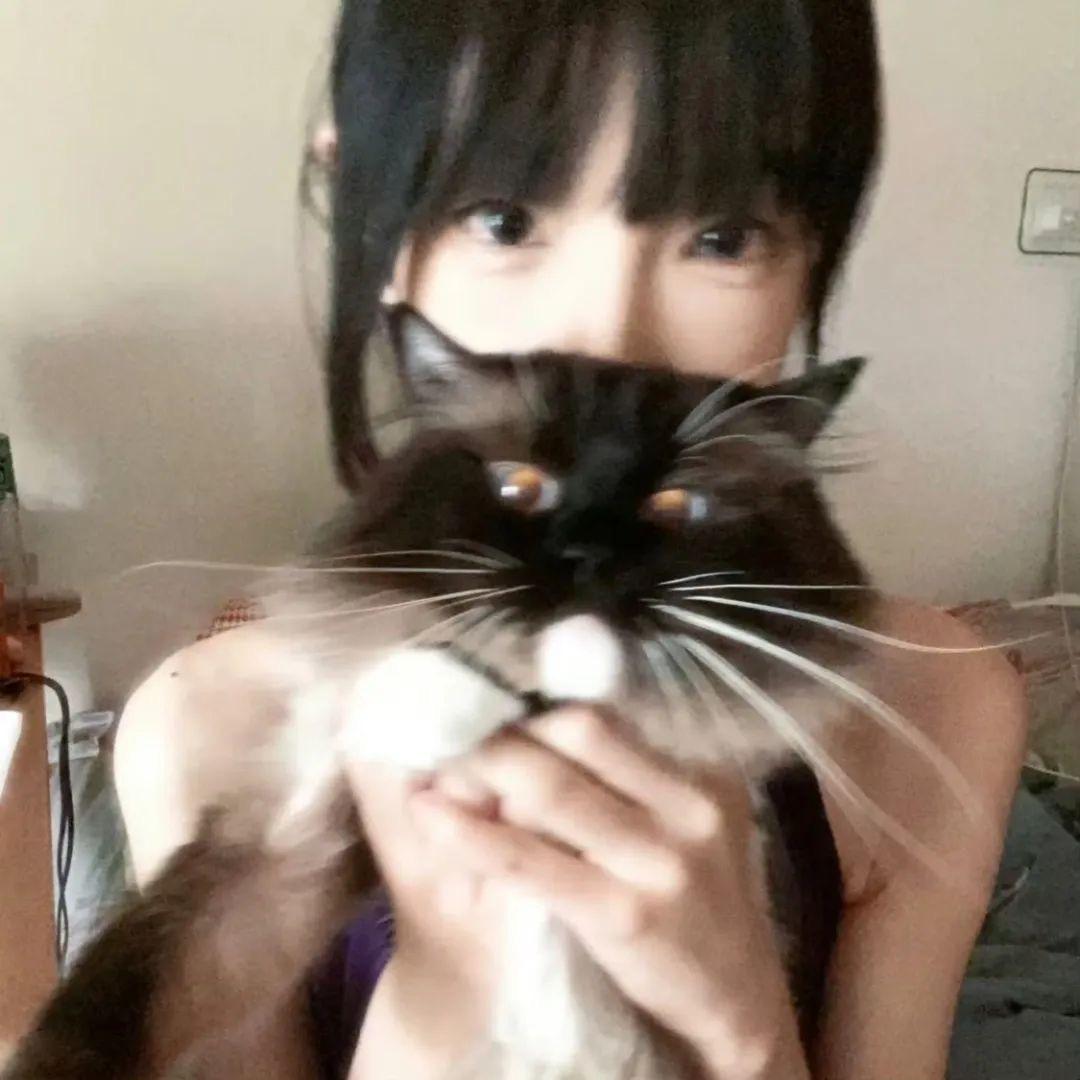 圆白菜