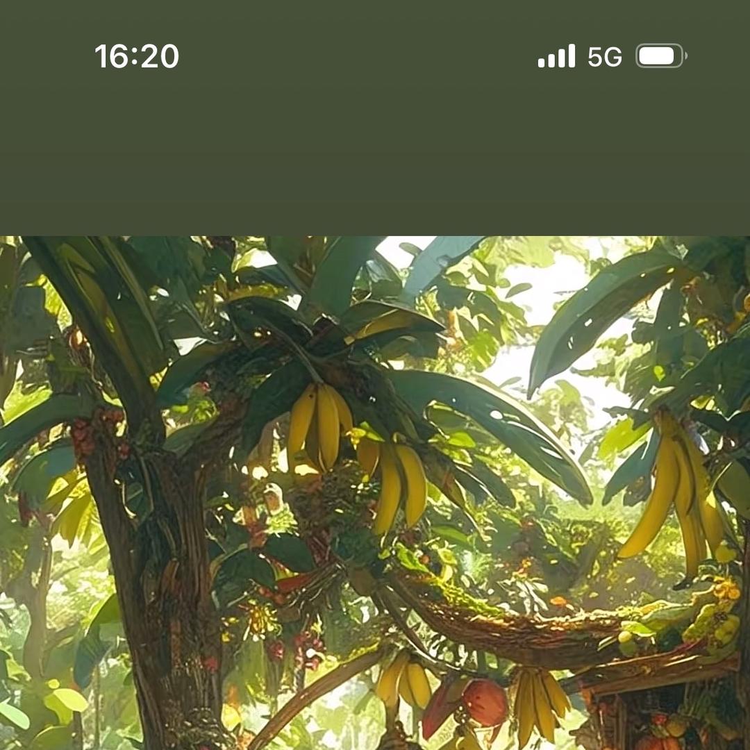 金家好货工厂店