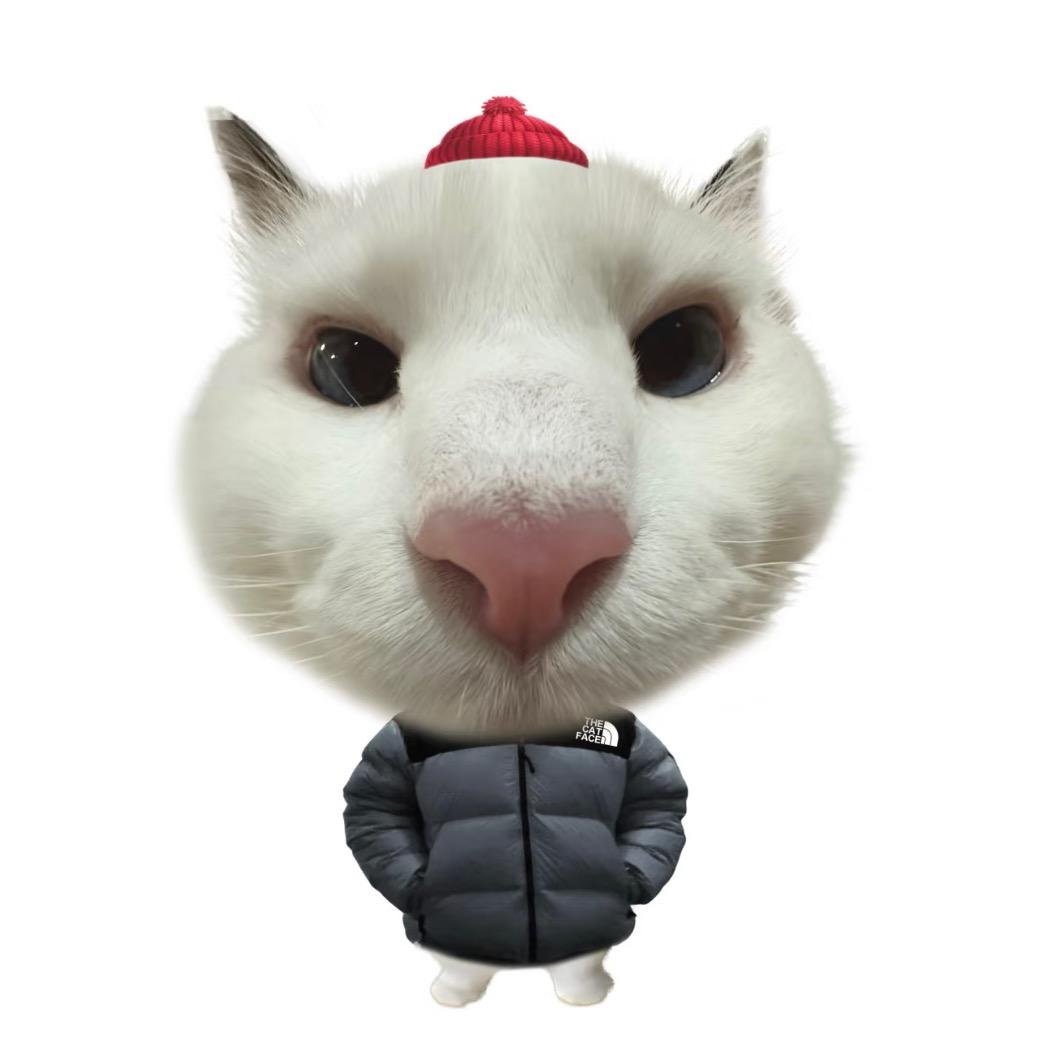 Yyyyy.