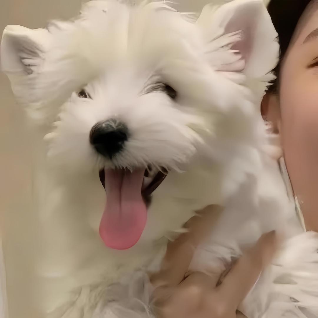 望城
