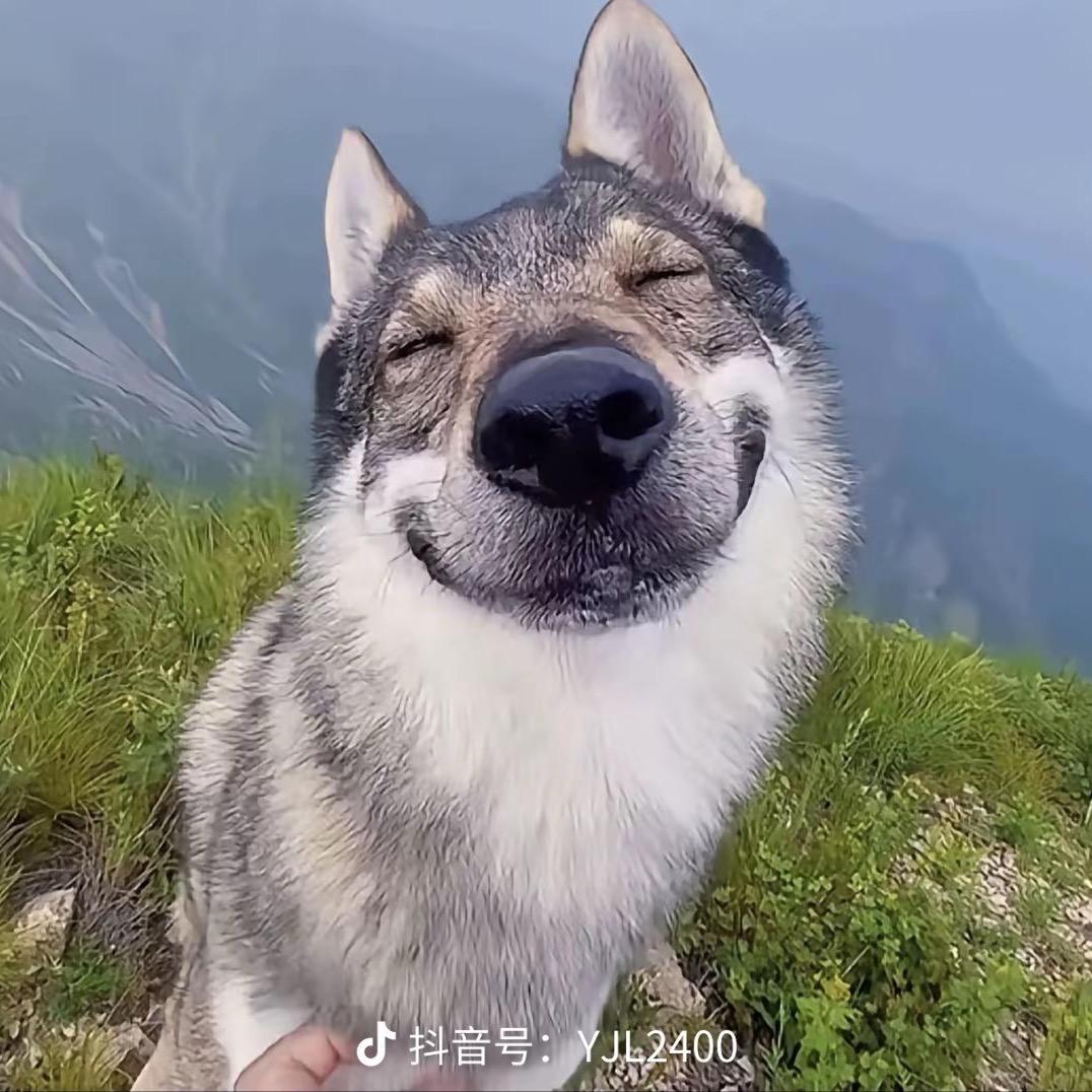 阿汤哥