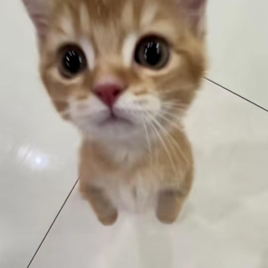 理想远大