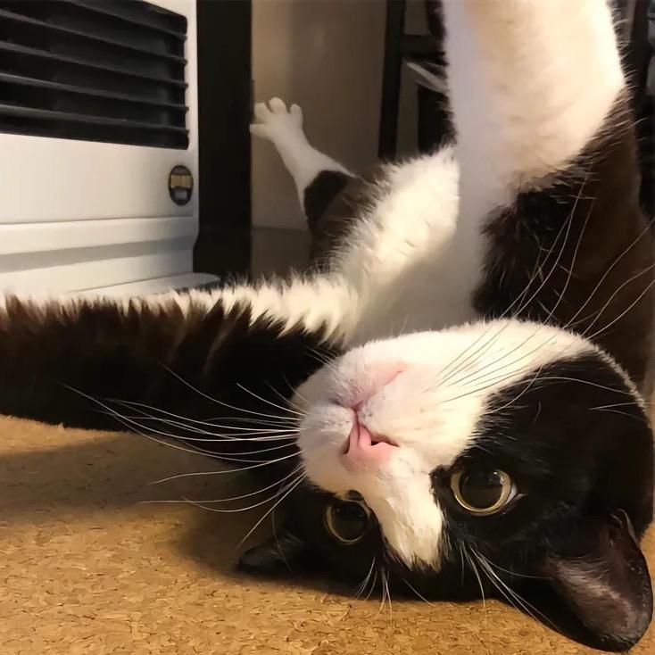 相逢何必曾相识