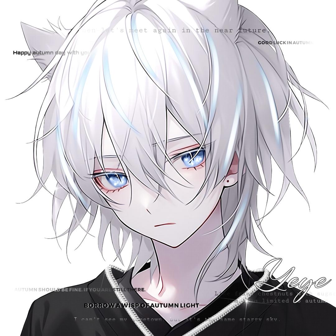 夜夜（晋级赛）