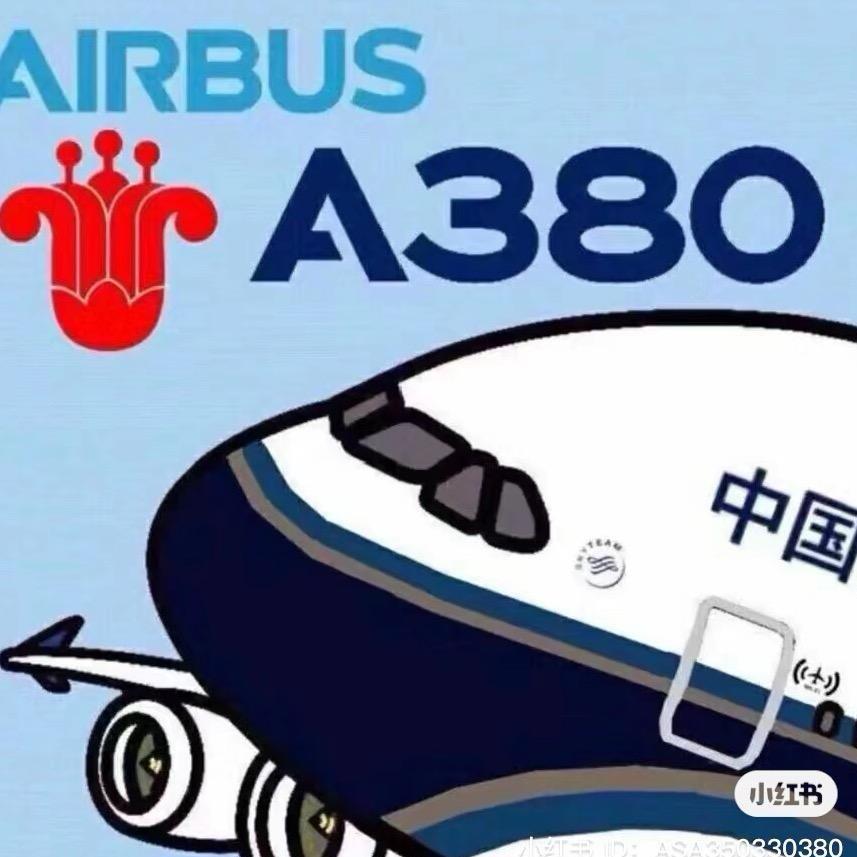 南航的a380(反飞马)