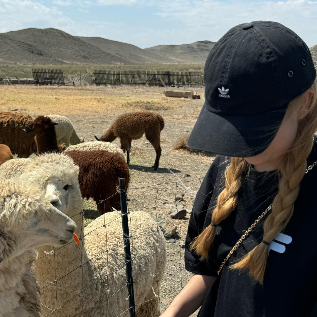 元气少女郭德纲ヾ