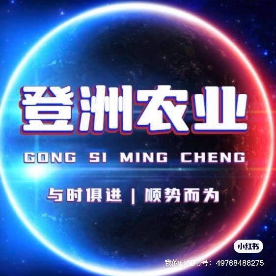 灌云王集登洲农业