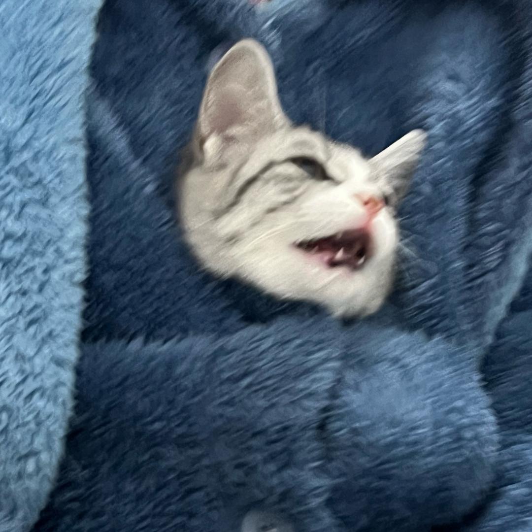 南音