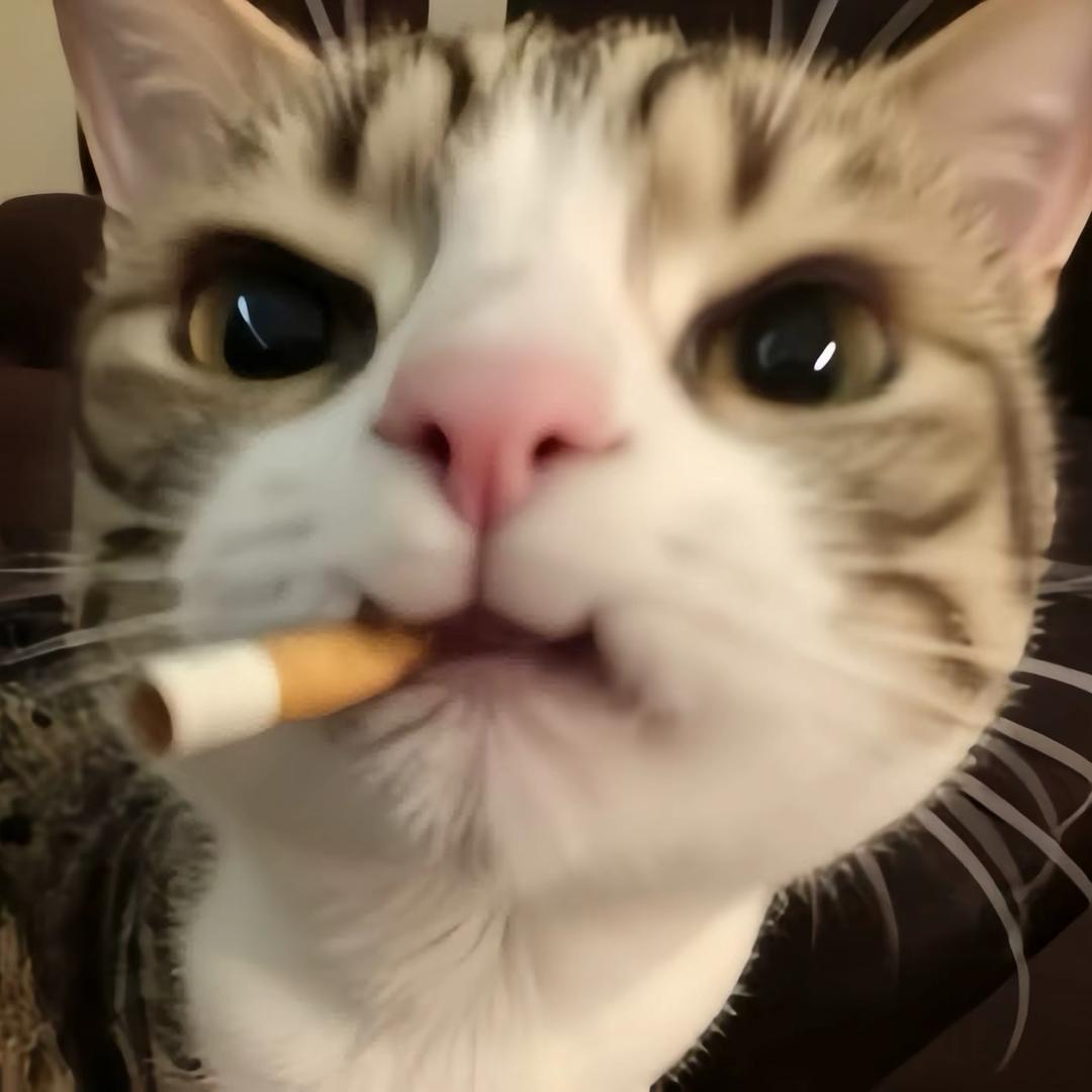 悲伤就大口吃饭