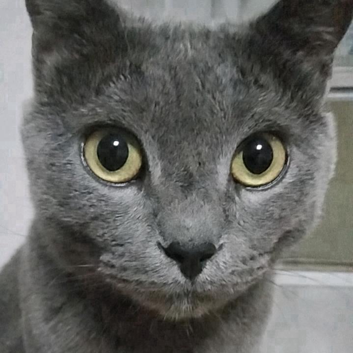 姿婆世界