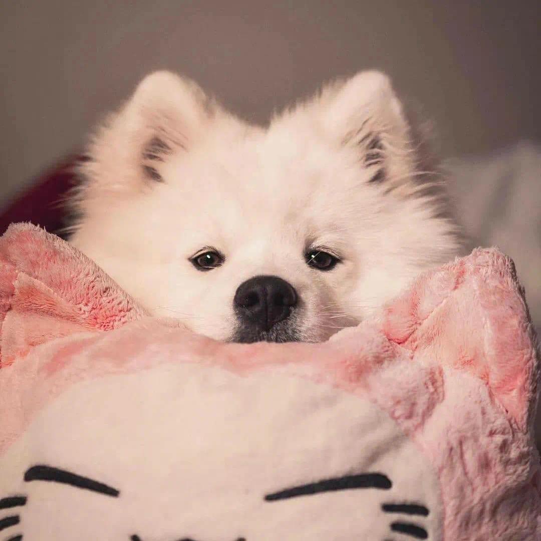 yi_yi