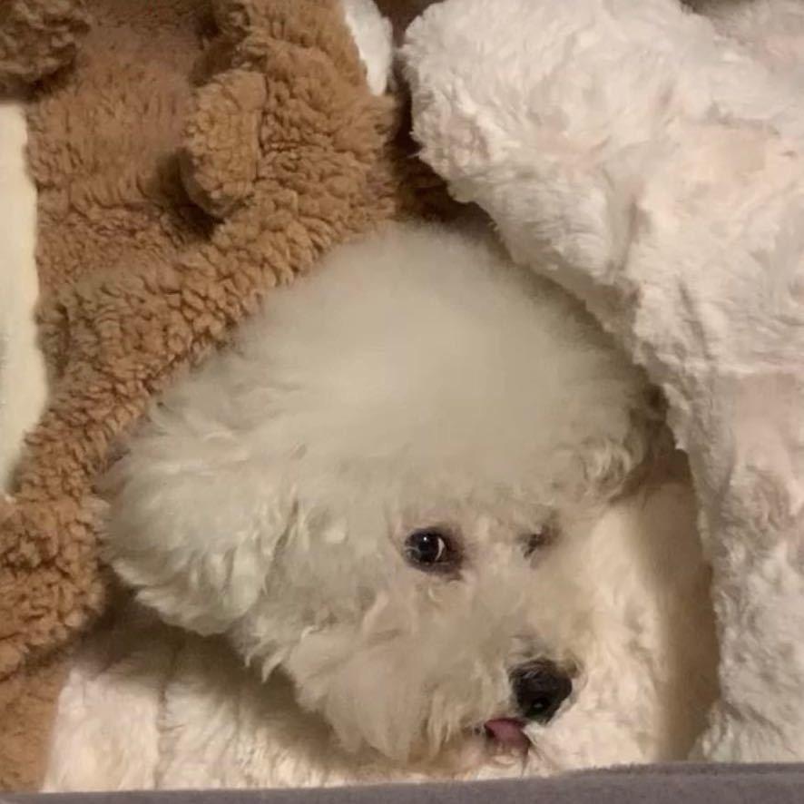 每天一杯温开水