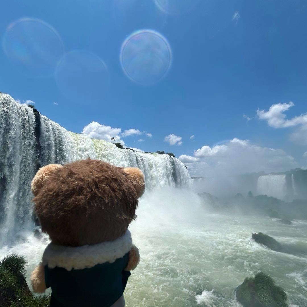 批发卖鱼熊的家长