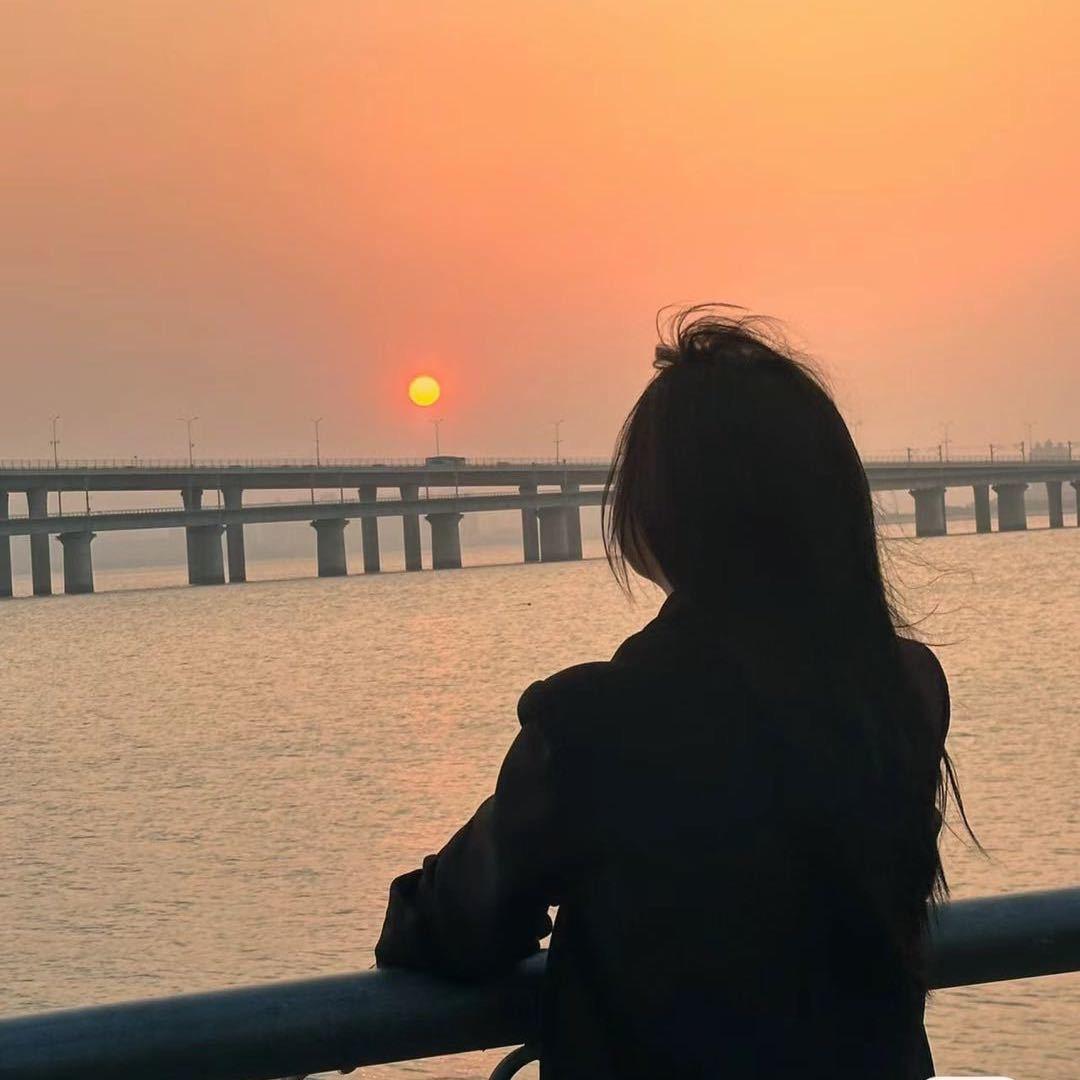 向日葵🌻🌻