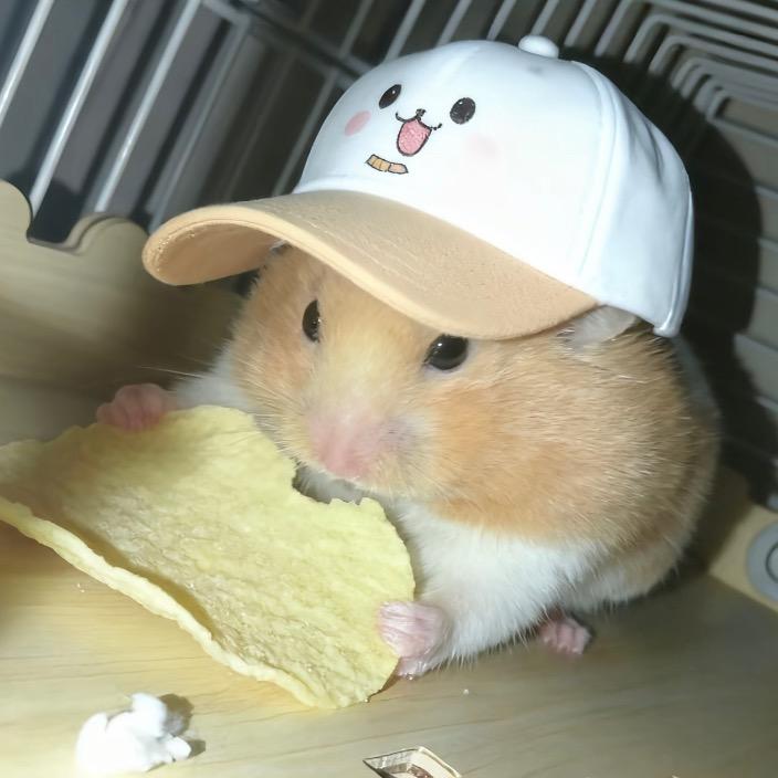 小小魔丸老子降临