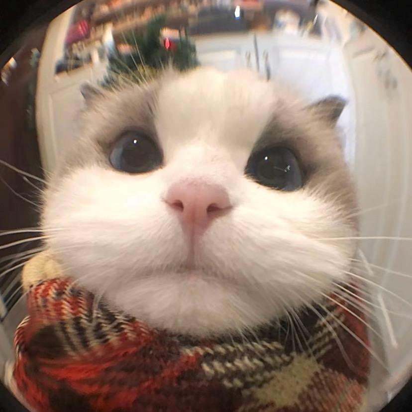 1427