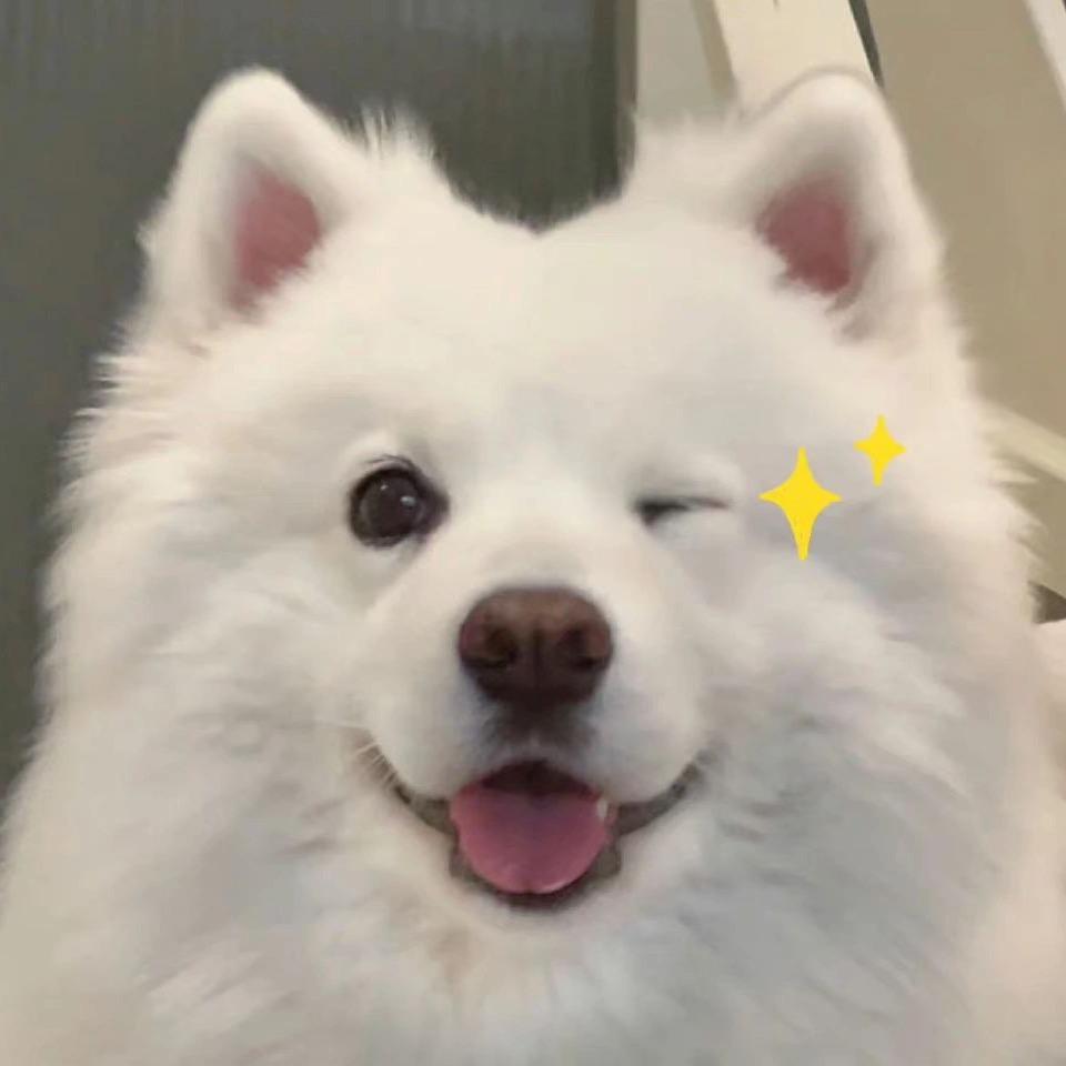 禾