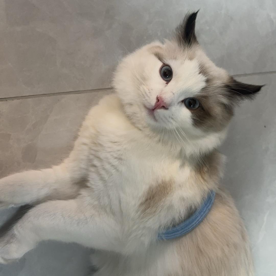 用户3277122288199